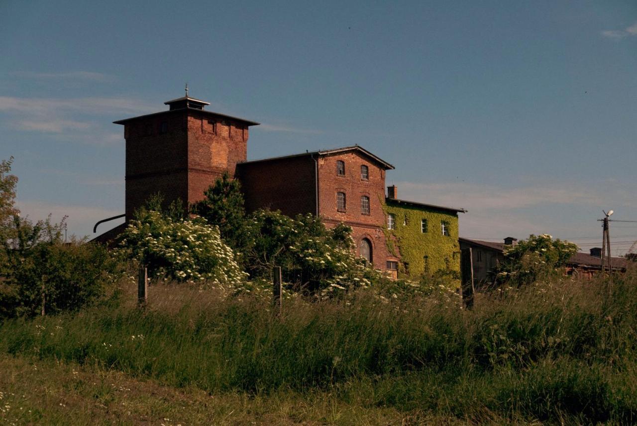 Dworek W Zarnowcu Apartment Zarnowiec Bagian luar foto